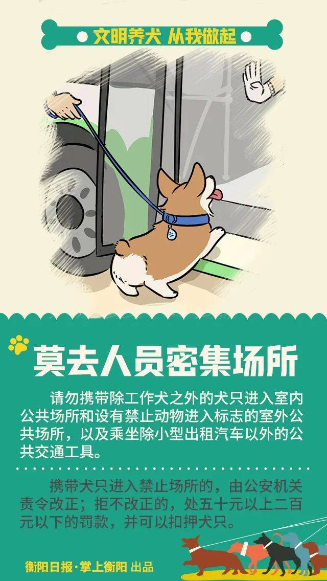 扩散不是所有的犬都可以养衡阳公安部门公布42种禁养犬画像
