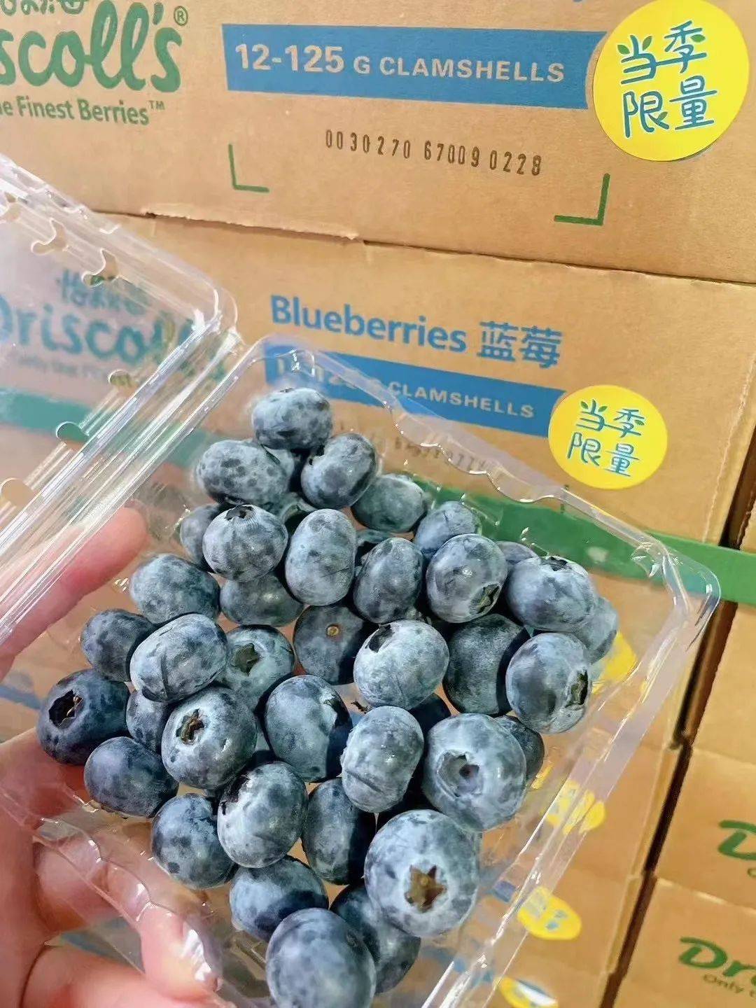 挑战全水果店zui低价商超￥698盒￥99秒杀6盒怡颗莓蓝莓l25品种009