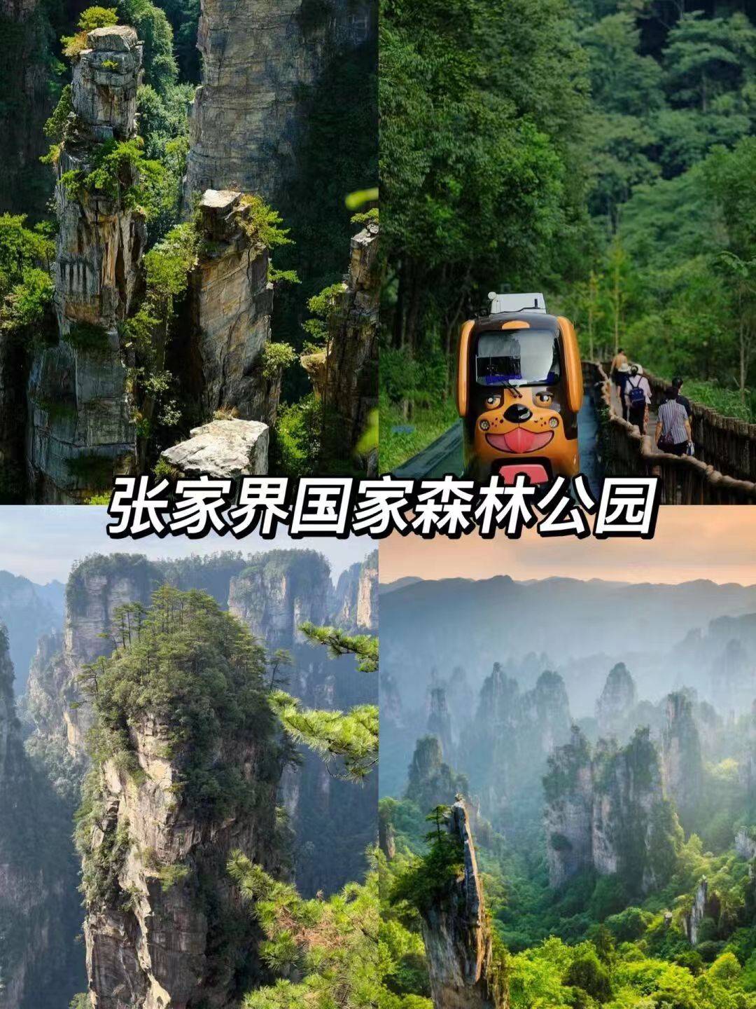 潍坊至张家界旅游攻略这篇旅游攻略你不看就真的可惜了
