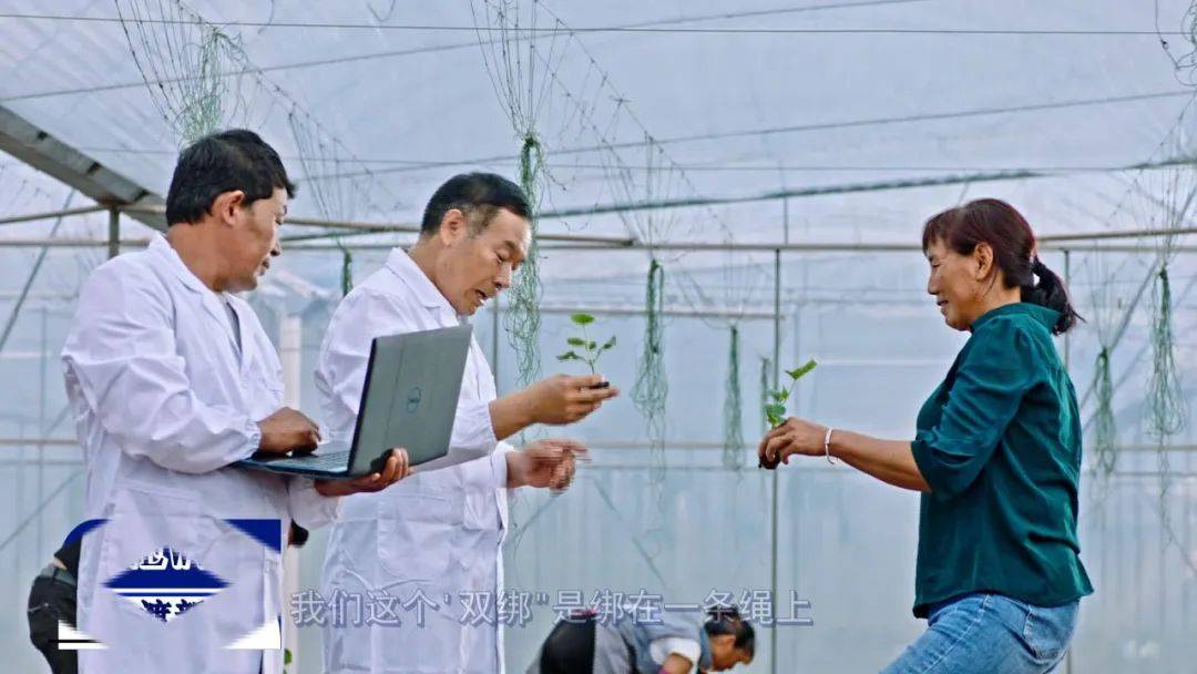 新街镇董和村委会大荒地村党支部书记 ,村民小组组长张林保说:" 背靠