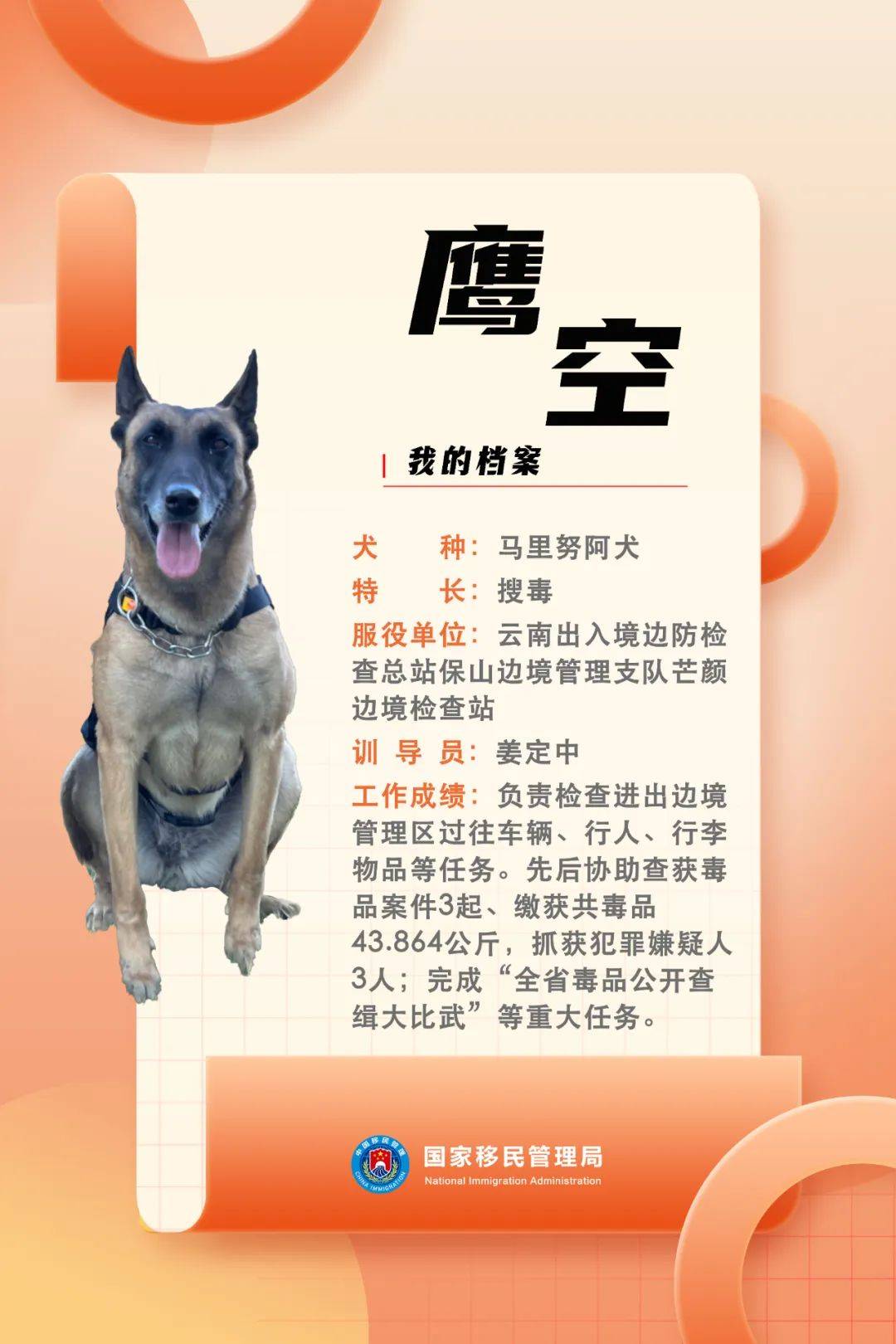 全国首只柯基警犬火了你想不到的是这些动物竟是缉毒能手
