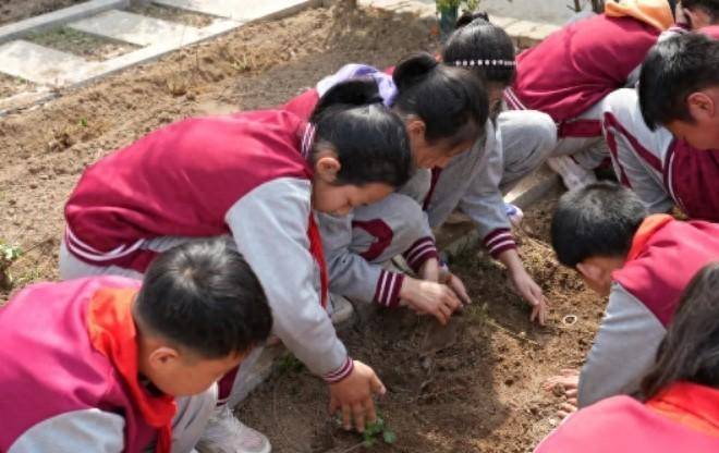 走进中医药种下小种子城阳区开展中医药文化研学活动