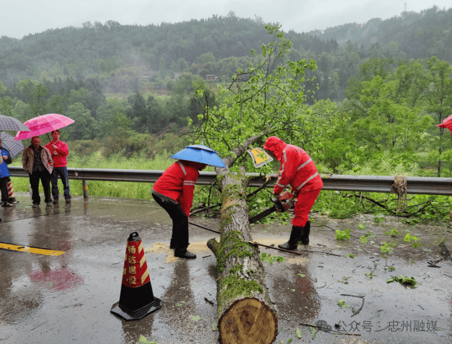 忠县人 昨夜的你是否被吓到起?提醒你这些要牢记!_大风_天气_夜间