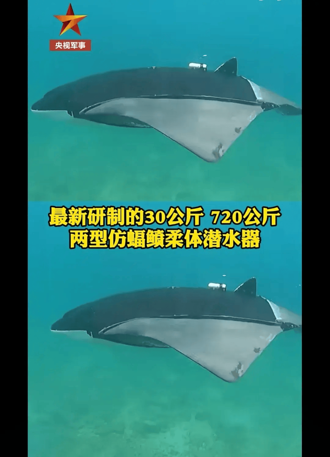 西工大又展示黑科技仿生魔鬼鱼潜水器水下侦察用途多效果好