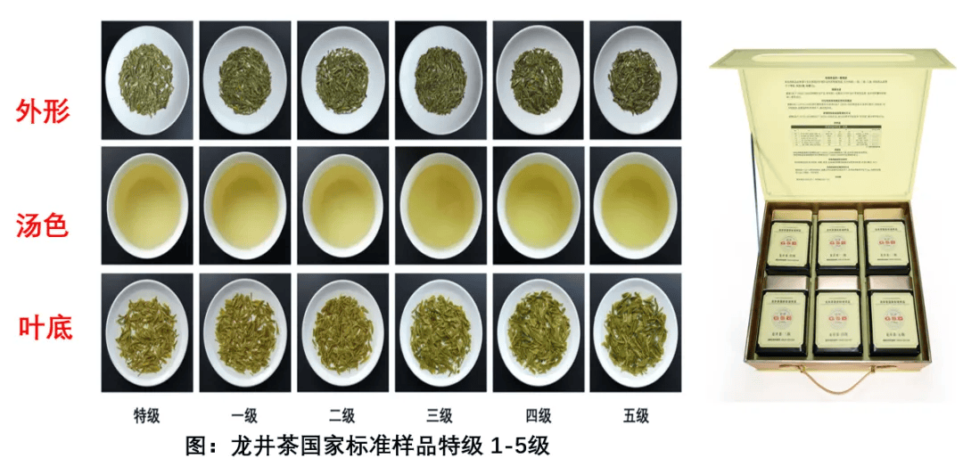 龙井茶图片 等级图片