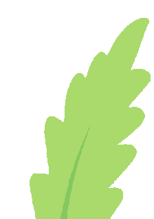 童诗童心童年长宁实验小学四1班阅读沙龙活动纪实