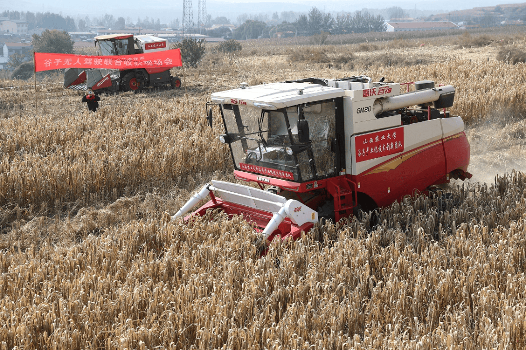 山西省现代农业谷子产业技术体系良种良机良技融合精准攻关瓶颈技术