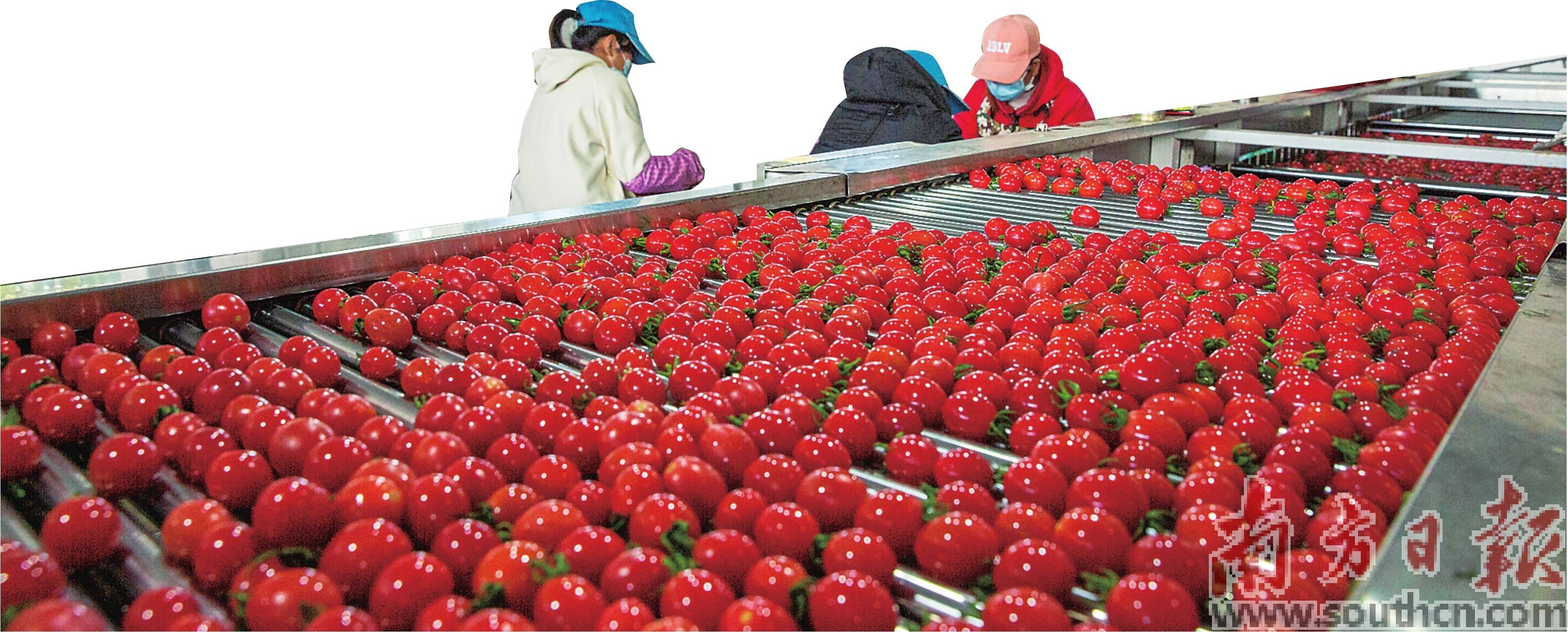 让土特产长成大产业