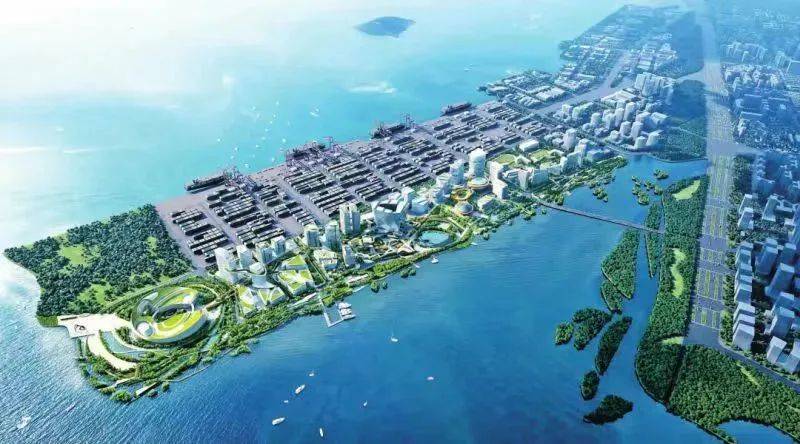 宝安大铲湾片区→宜居宜业生态岛_深圳_港口_数字化