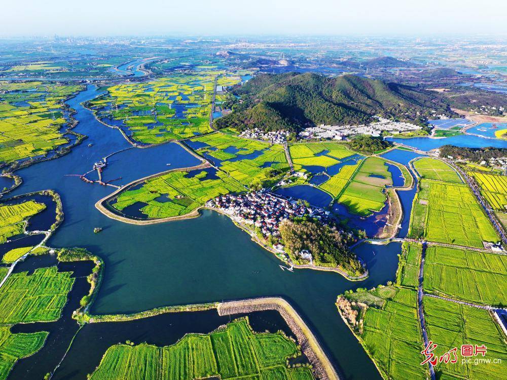 (魏东升摄/光明图片)2024年4月5日,鸟瞰下的江苏省宿迁市沭阳县桑墟镇