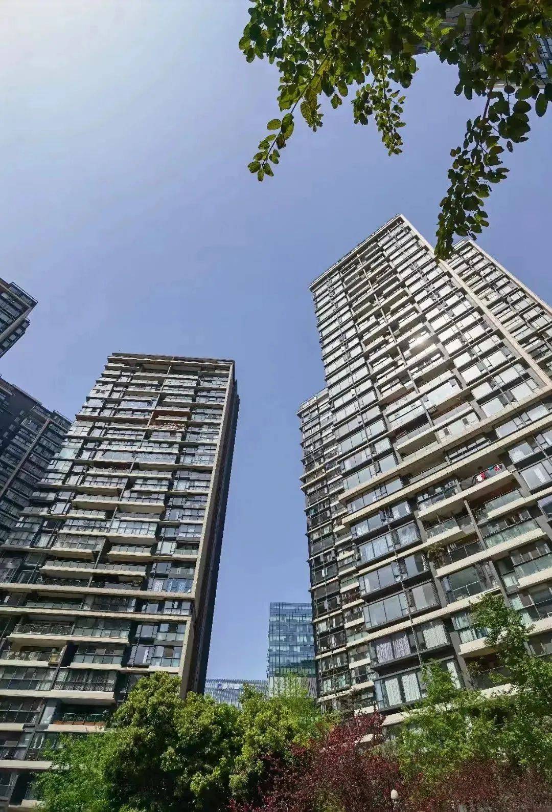 土拍“价高者得”的时代，本土房企会卷土重来吗？_市场关注_仁和_成都