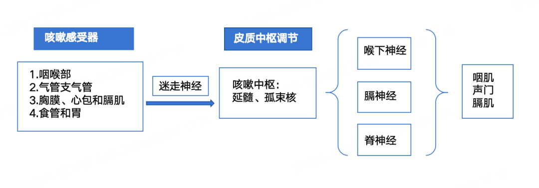 主诉「咳嗽 1 月余」,首先想到的 3 个疾病是?_诊断_治疗_症状