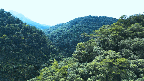 满满"仙境"体验)—摩崖石刻 —五龙亭—水月宫—龙岩洞—星湖博物