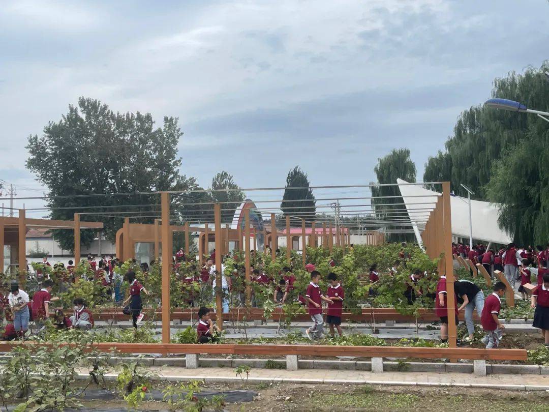 兴教展示落实双减政策提升课后服务水平大兴区这所农村小学的课后探索