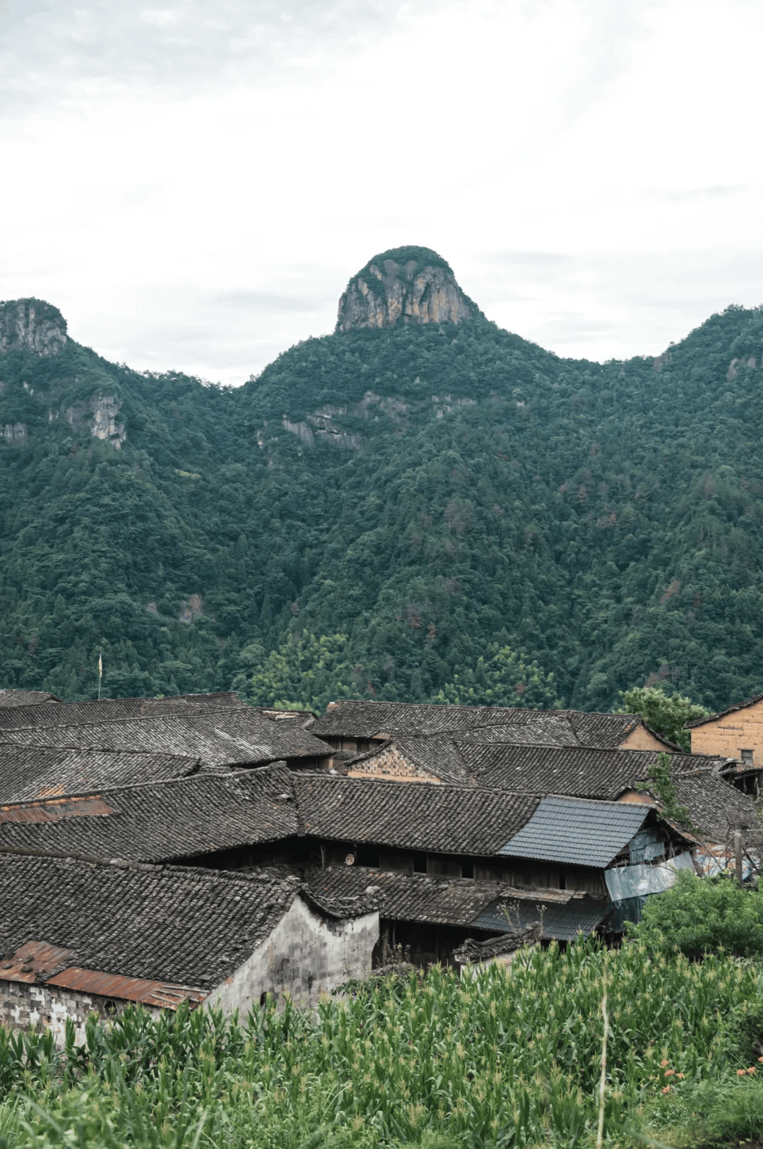 不如见一面,在长寿之乡浙江仙居~_未来_村落_白塔
