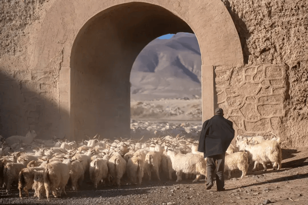 白银文旅甘肃又憋大招了不是天水这座低调小城人文不