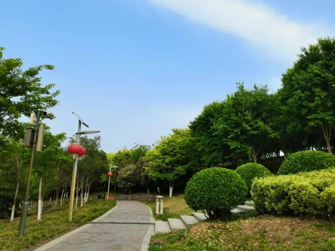 生态旅游是一个开放型的位于郑东新区这里是郑州市森林公园瞬间唤醒