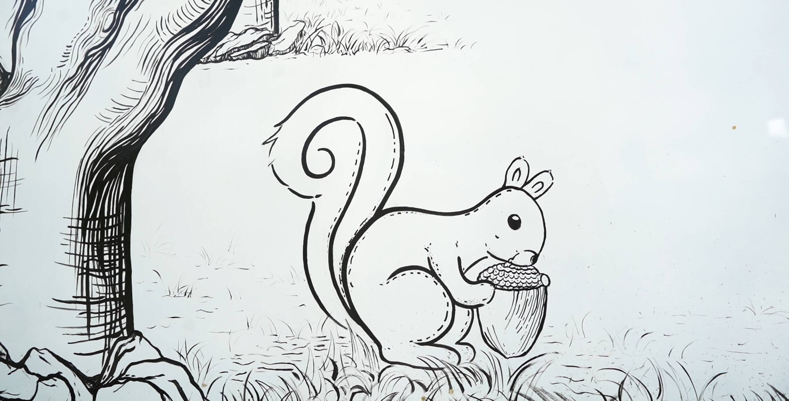 妙趣横生济南佛慧山下的树上长出两幅画