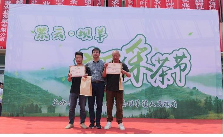 紫云县坝羊镇举办首届采茶节促进茶旅融合发展