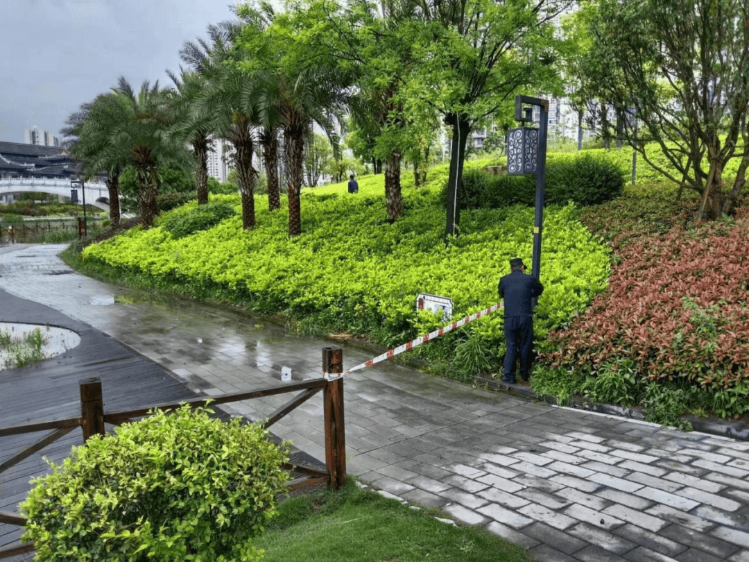 春季强降雨后,香国公园速度换新_进行_市民_大足