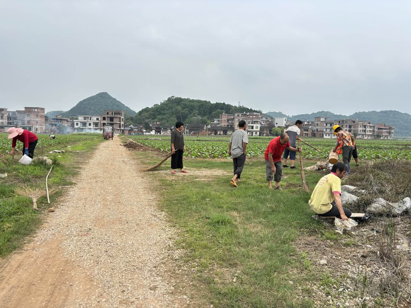 新田:清理田间地头垃圾 营造整洁乡村环境_整治_影响_活动