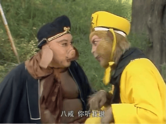 央视网为啥大家逢人就叫老师在济南人人都是老师儿