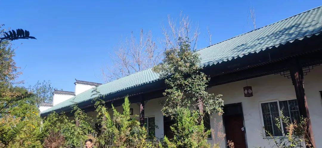 起拍超1400万蒙城2家公司被拍卖