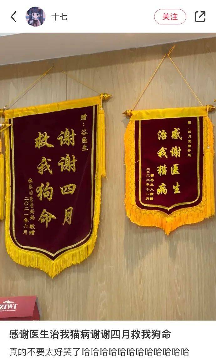 新潮丨very骨德救我狗命锦旗界已进入白话文时代