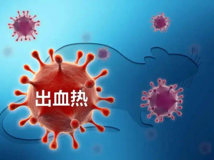 免费信州区出血热疫苗接种中