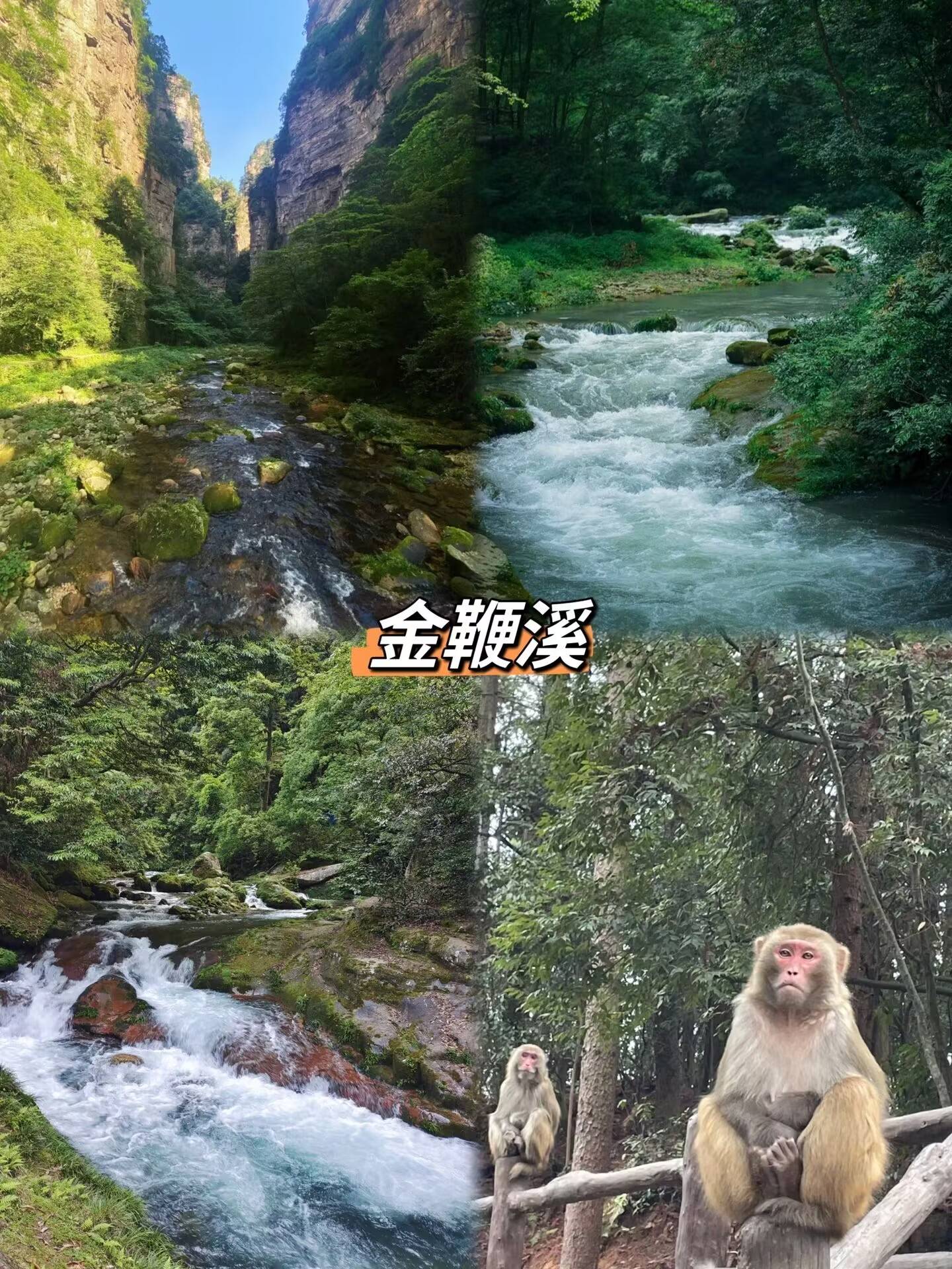 99我们是在网上找的本地导游娜娜17267441273(微信同号)她真的是个