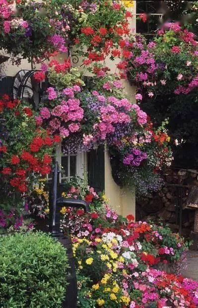 开满鲜花的小院风景图图片