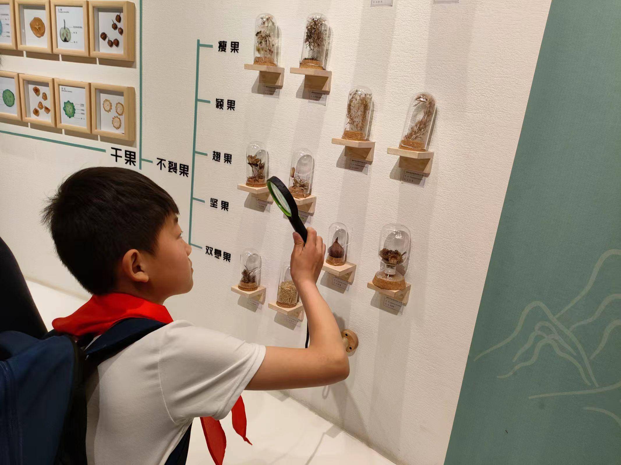 关于体验学习型！小学资料，实践为主的信息