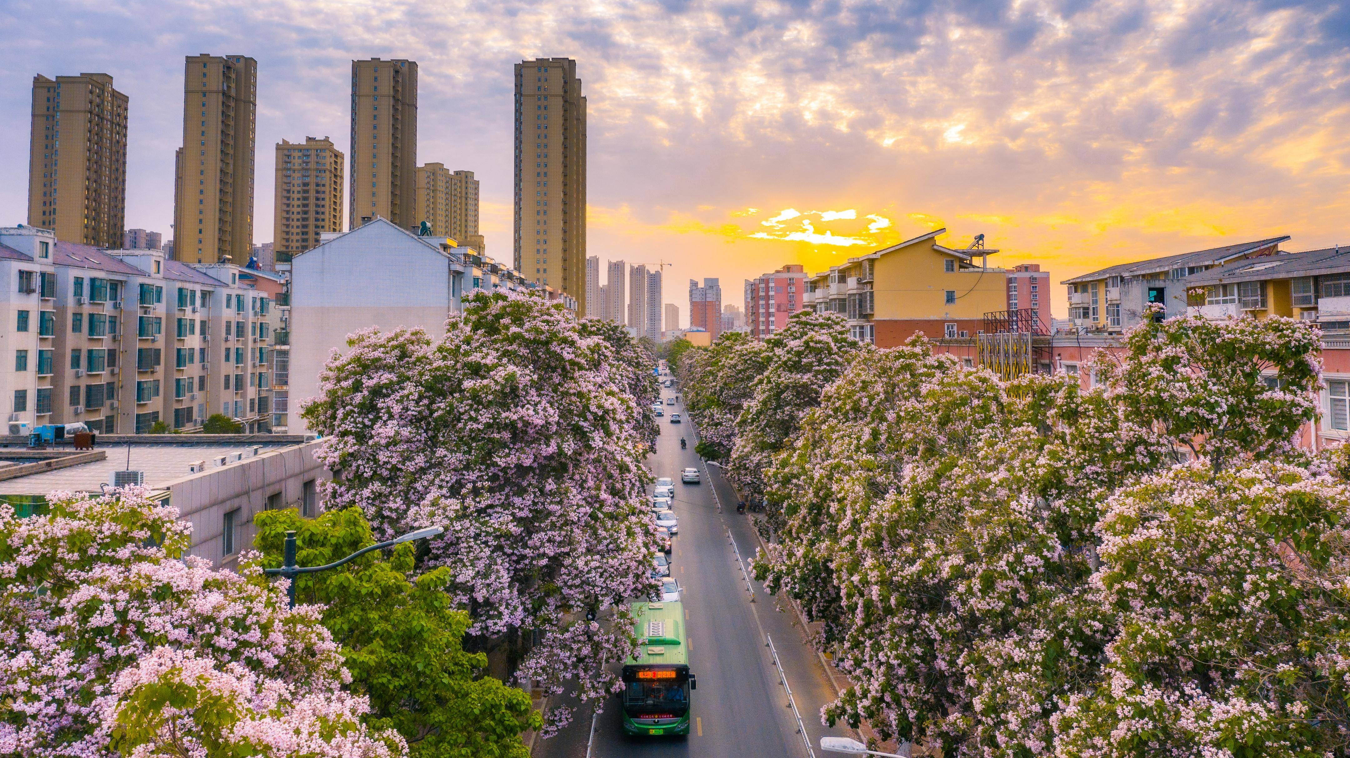 荥阳"城管人"已经开始紧张的备汛行动,与美景一样打动人心的是重于