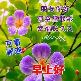 今日最新早上好问候语平安健康喜乐相随