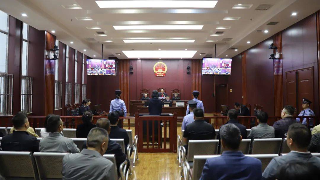 受贿、巨额财产来源不明!甘肃一原副市长,被判14年!_被告人_吴丽华_陇南市