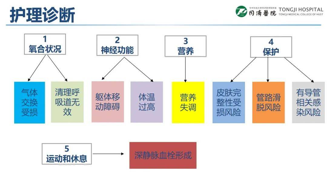【ppt】一例重症吉兰-巴雷综合征患者的护理案例分享