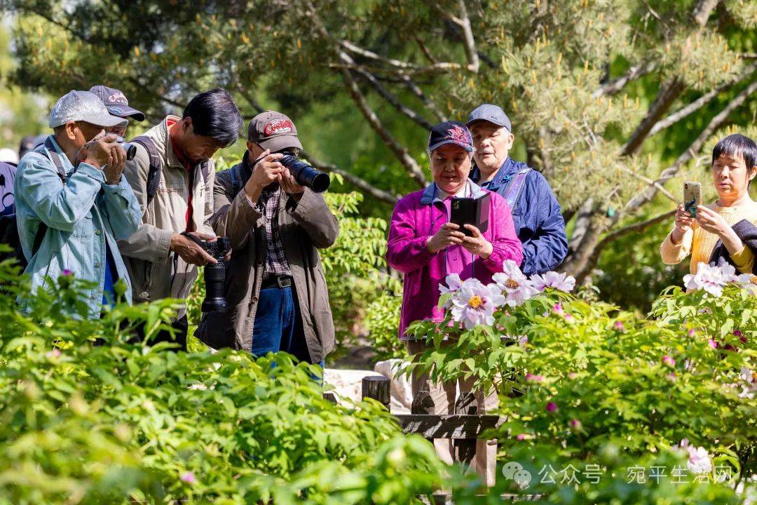 壁纸 成片种植 风景 植物 种植基地 桌面 1080_720
