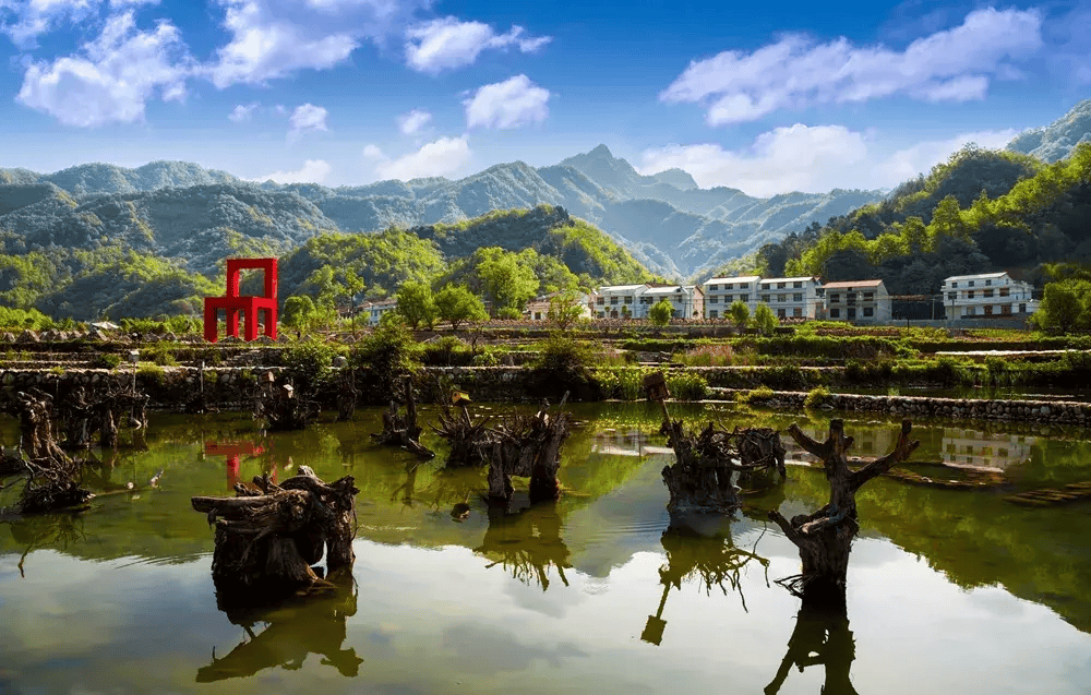 快来佛坪这个天然净化器吧!