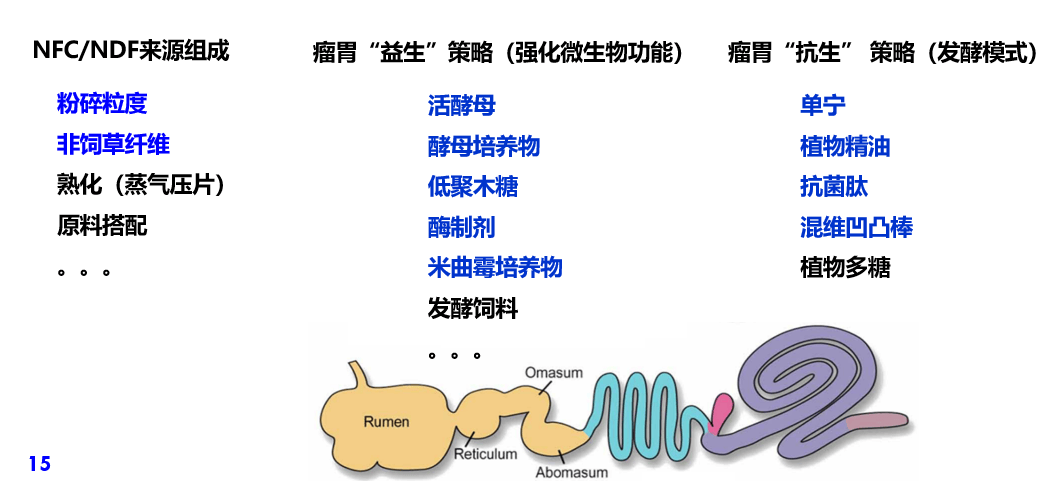 颐和论坛2024——营养创新与健康养殖大会4月16日上午听课笔记
