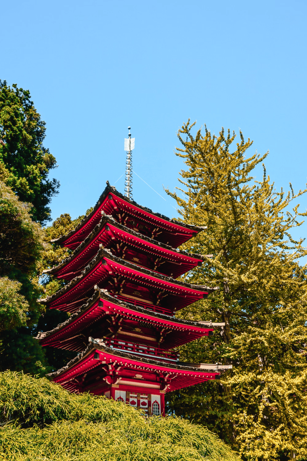 旧金山必去景点top12, 周末约起来!