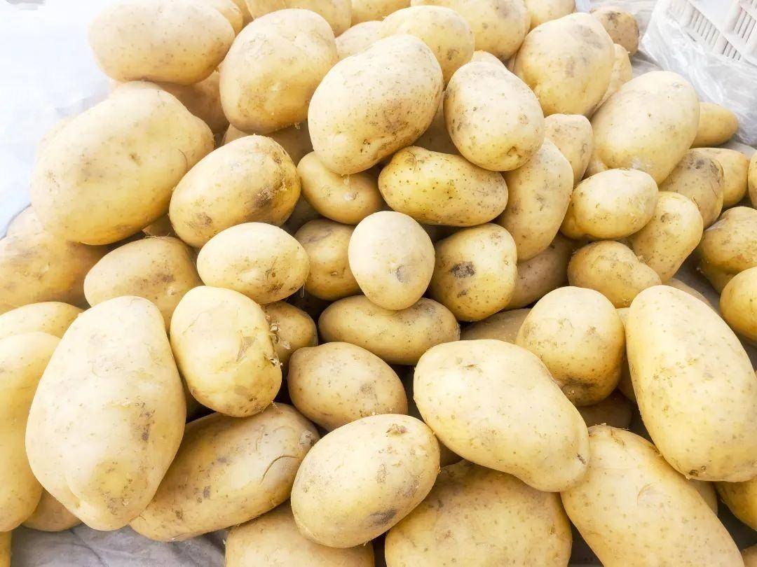 大集里最不缺的就是新鲜蔬菜水果,好多摊主都是周边村民,卖的菜也都是