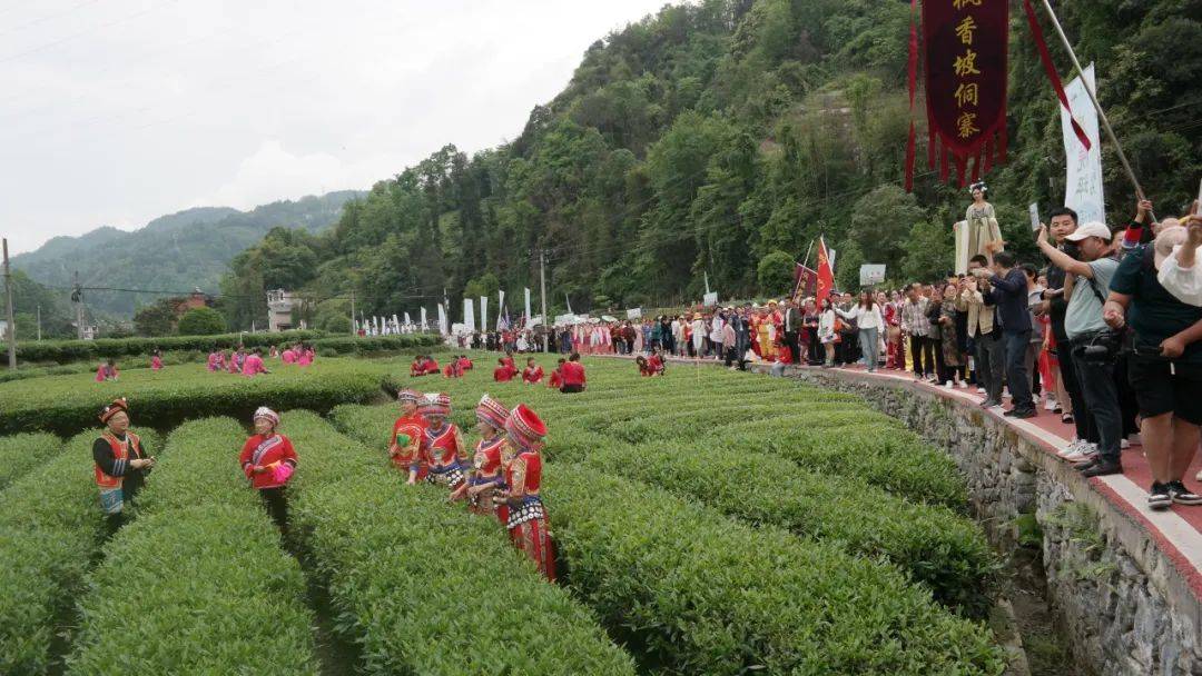 枫香坡侗族风情寨门票图片