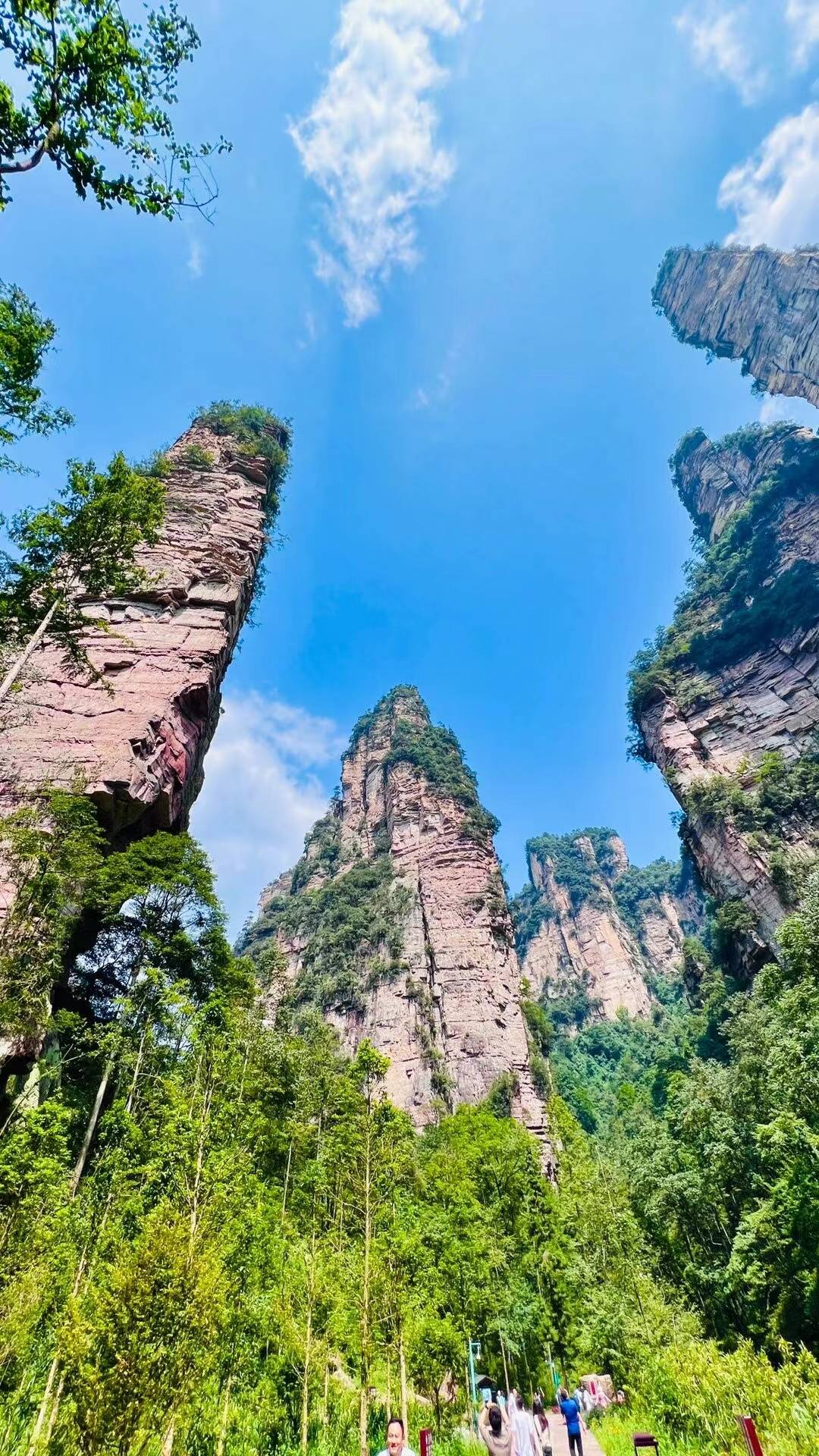 宁夏张家界旅游攻略一日游 丨人均800不踩坑!