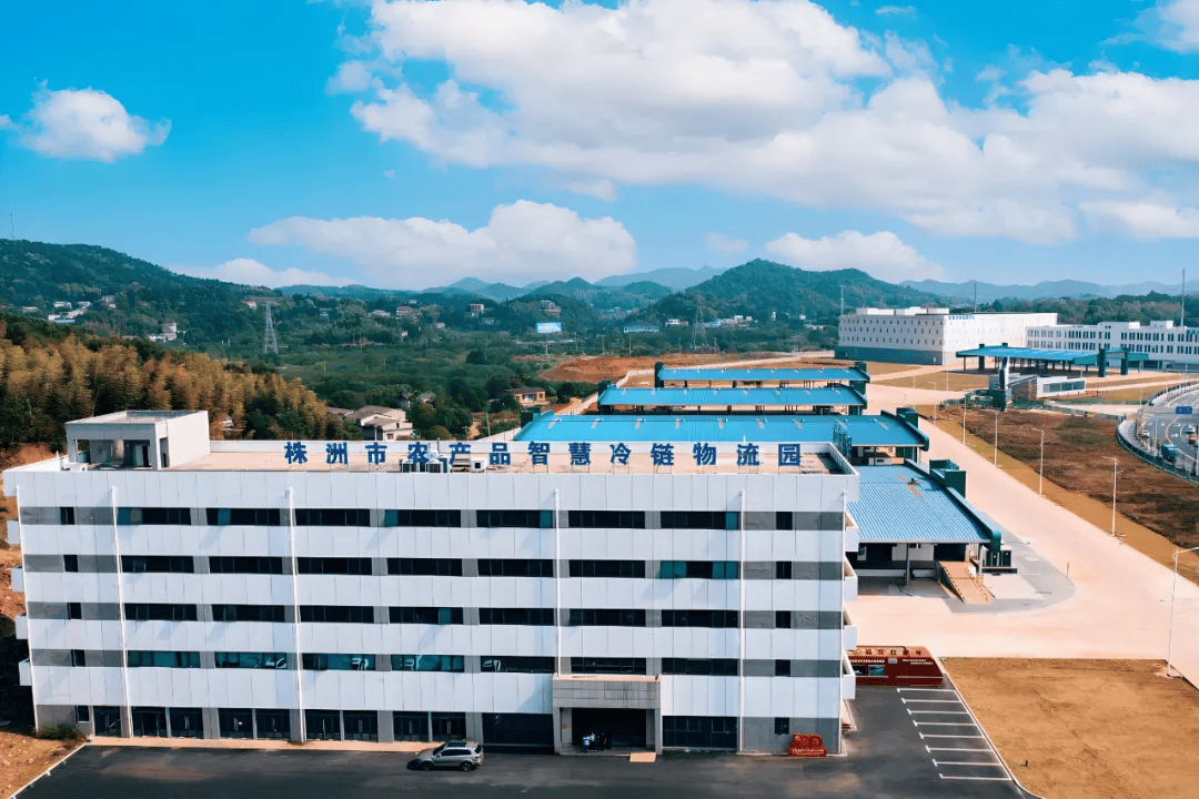 中国智慧冷链物流园区市场全景调研_服务_冷库_项目