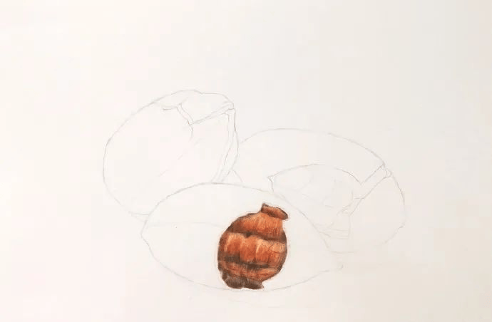 2,先画中间的这颗核桃,从果肉开始绘制1,起稿线图