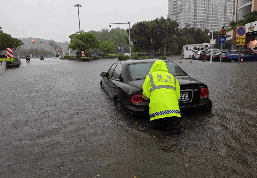 这些身影很动人!