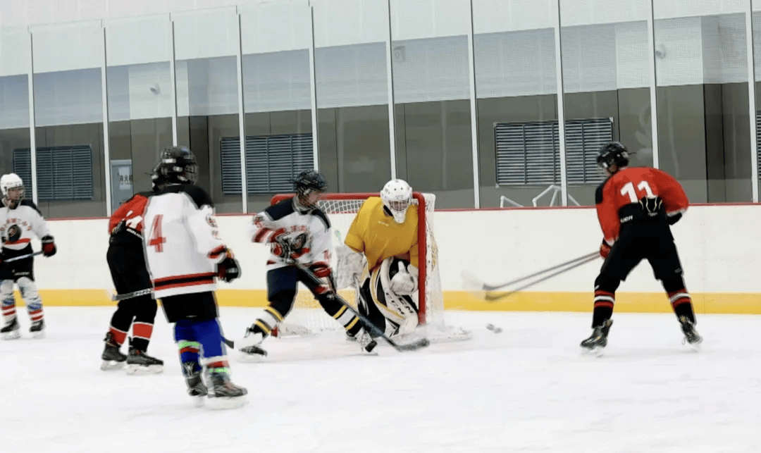 【喜迎亚冬盛会】"奔跑吧·少年"2024年佳木斯市青少年冰球赛激情开赛