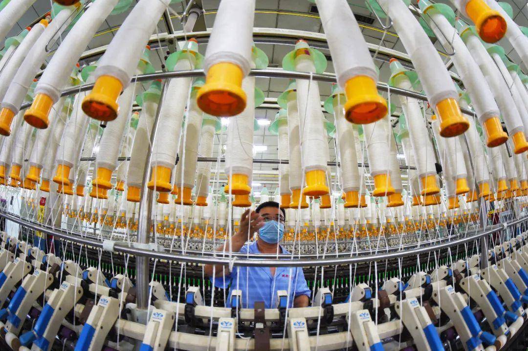 绒毛产业如何发展新质生产力?第三十届全国绒毛会议即将揭秘