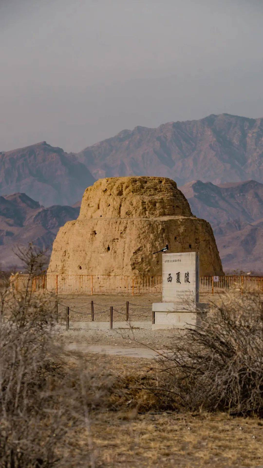 [悦游银川 嗨玩五一] 历史探秘攻略请收好!