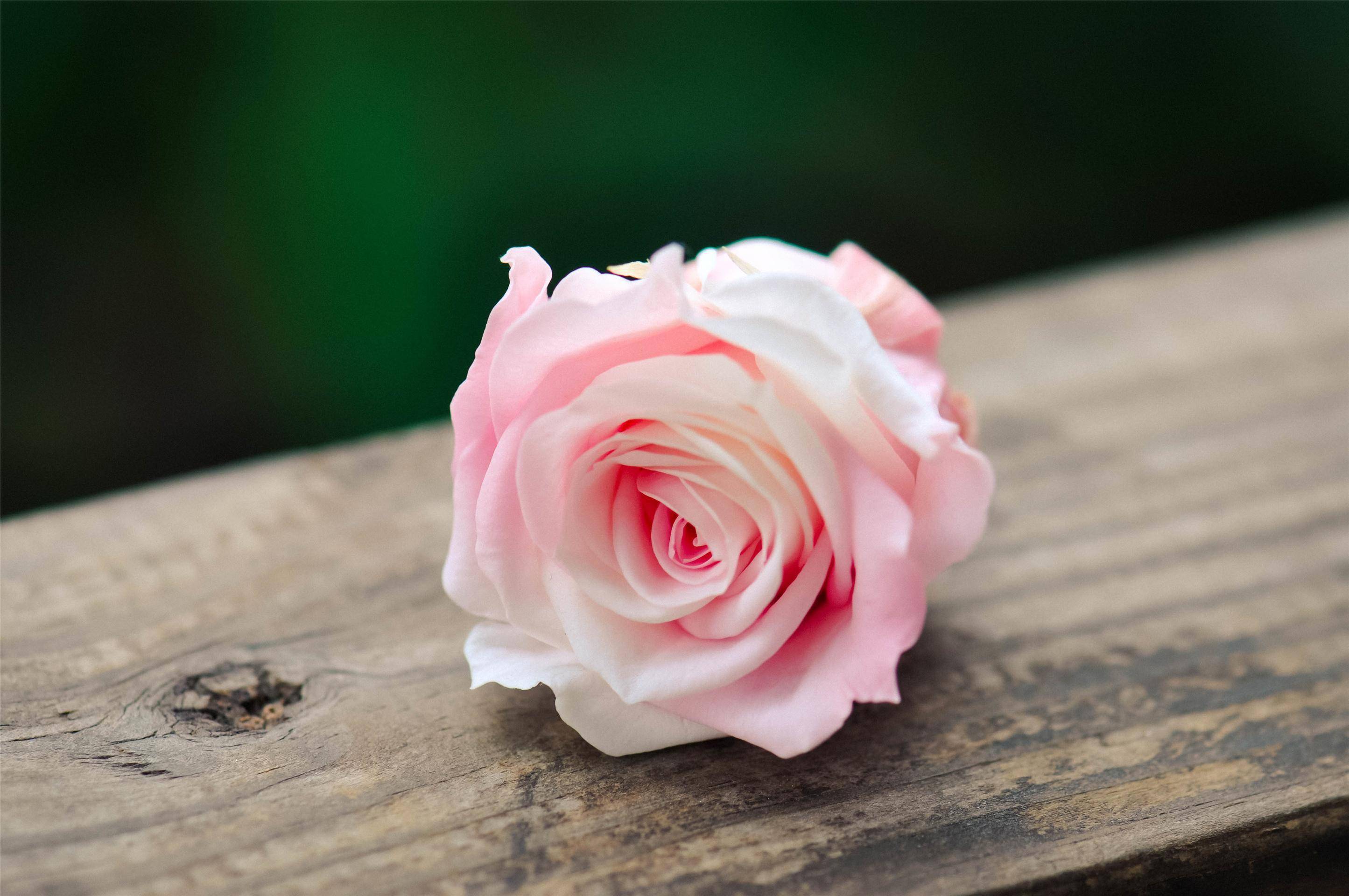 真正放下一个男人,从来不是删除微信和断联